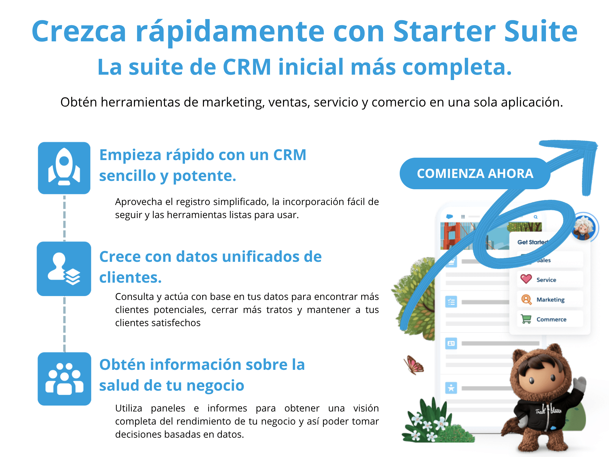 Salesforce Starter